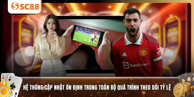 Hệ thống cập nhật ổn định trong toàn bộ quá trình theo dõi tỷ lệ