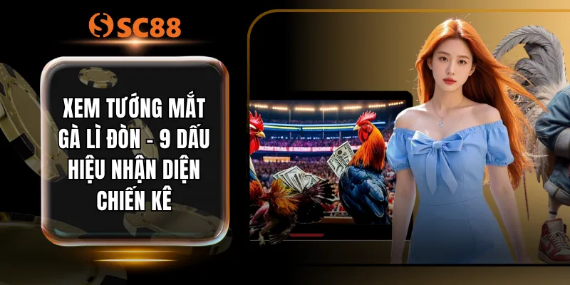 Xem Tướng Mắt Gà Lì Đòn - 9 Dấu Hiệu Nhận Diện Chiến Kê